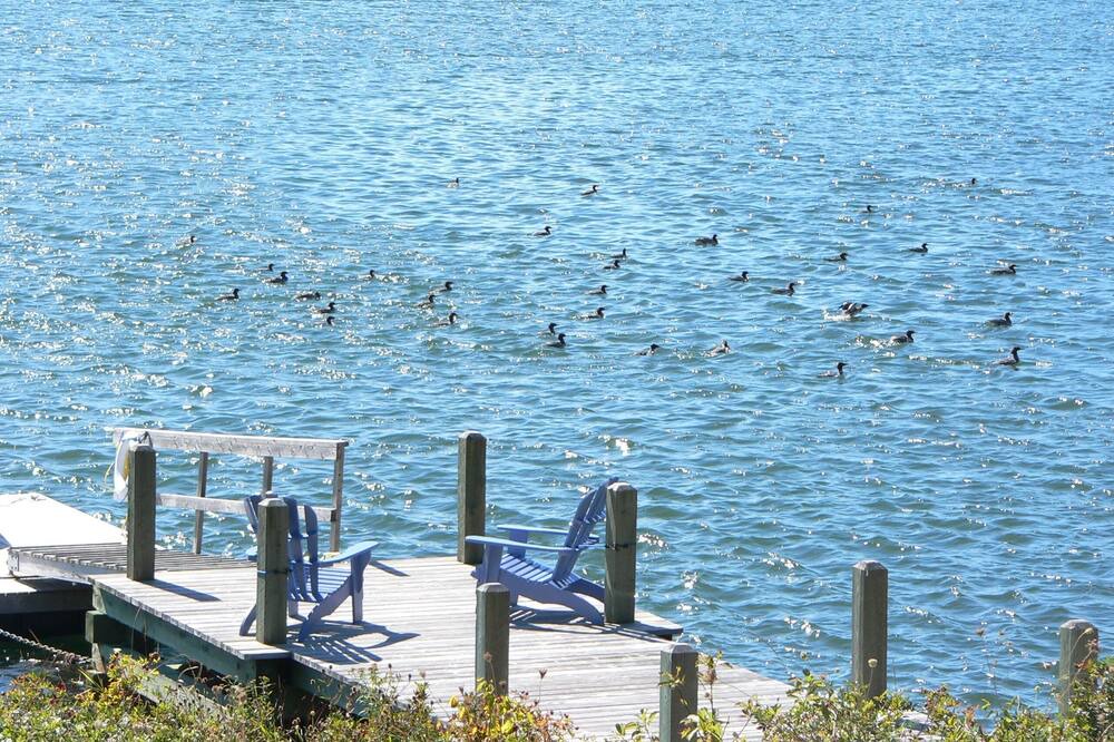 Photo of Others in Mahone Bay