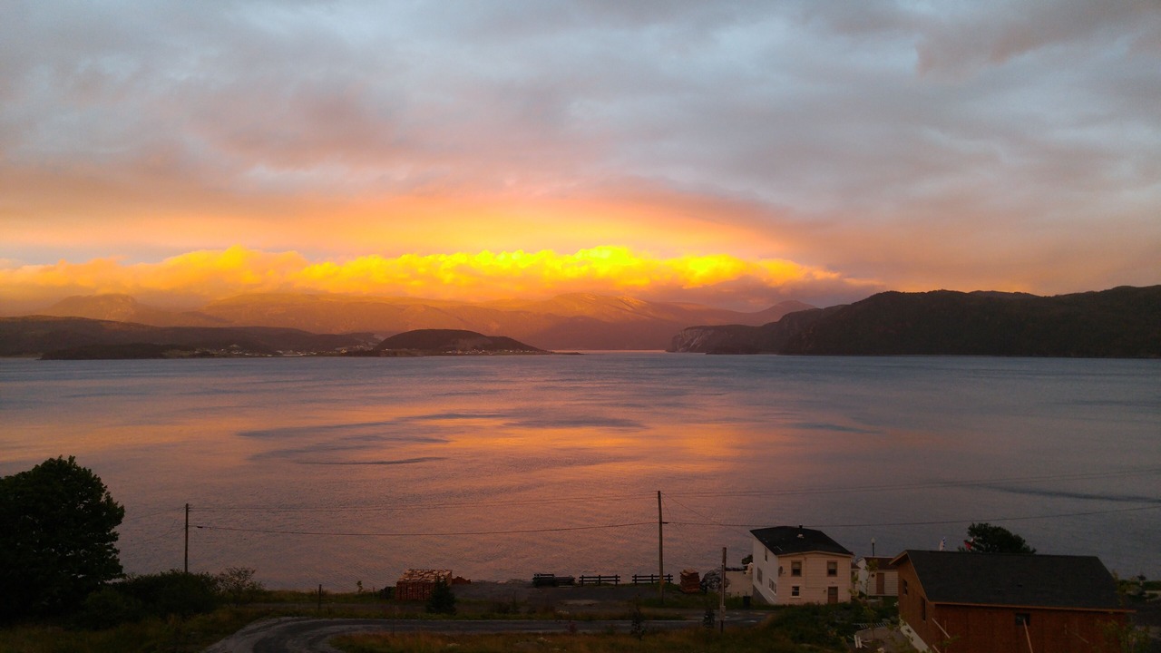 Photo of Others in Woody Point