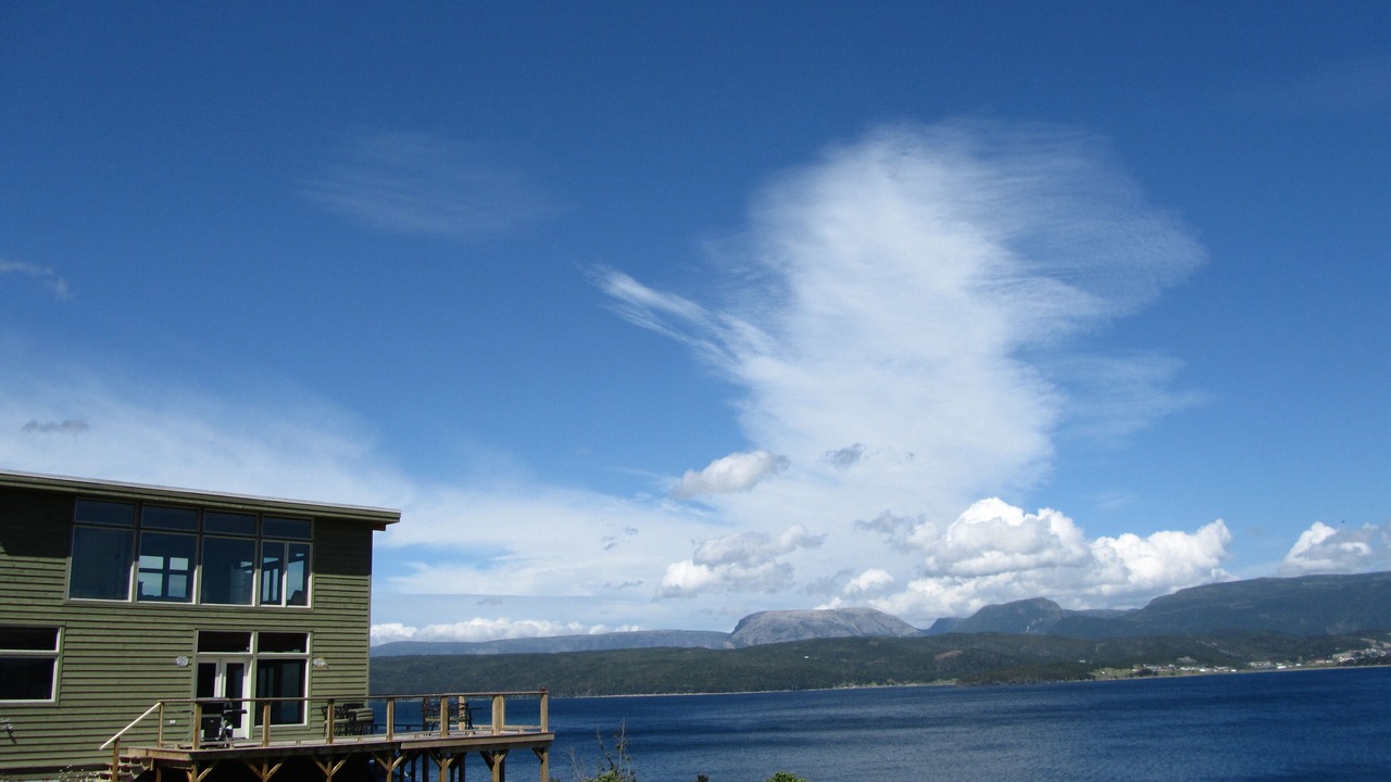 Photo of Others in Woody Point