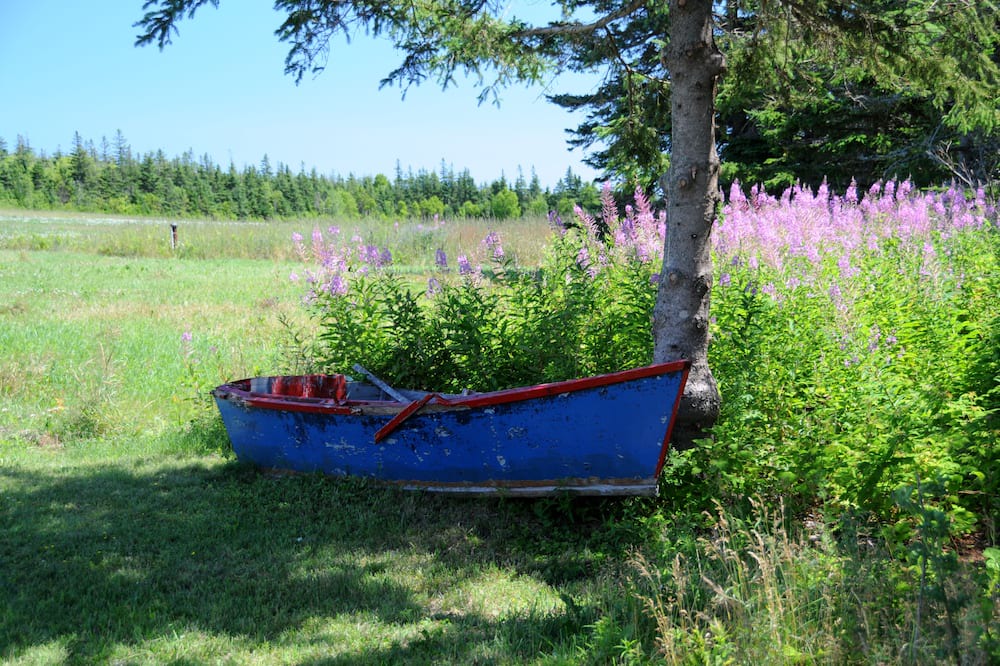 Photo of Outdoor in Little Pond