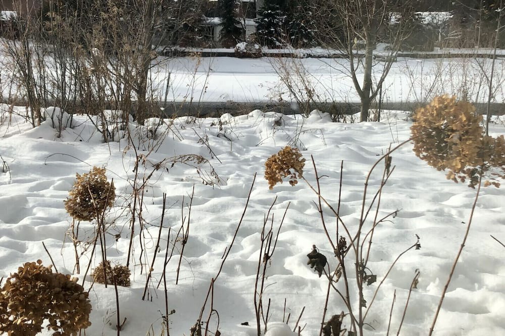 Photo of Outdoor in Val David
