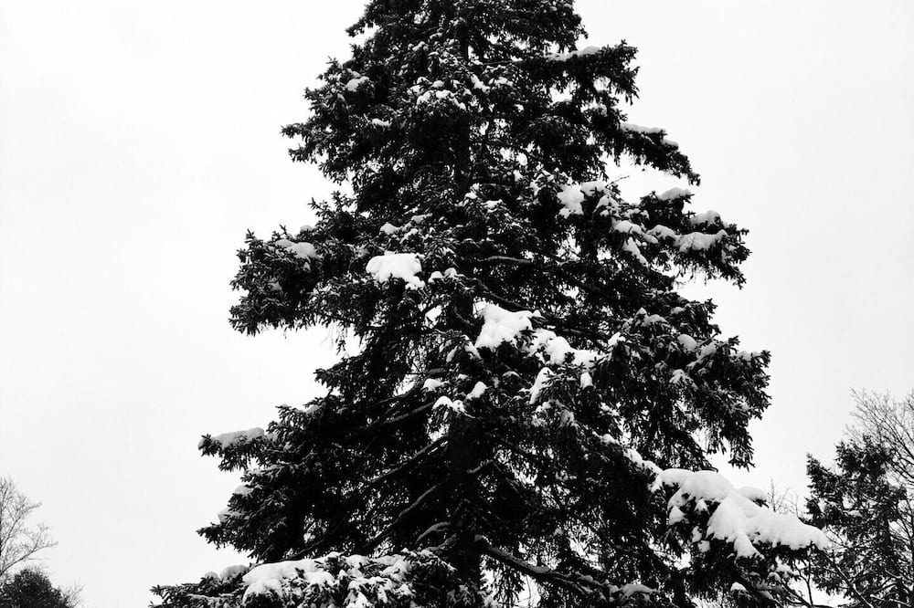 Photo of Outdoor in Val David