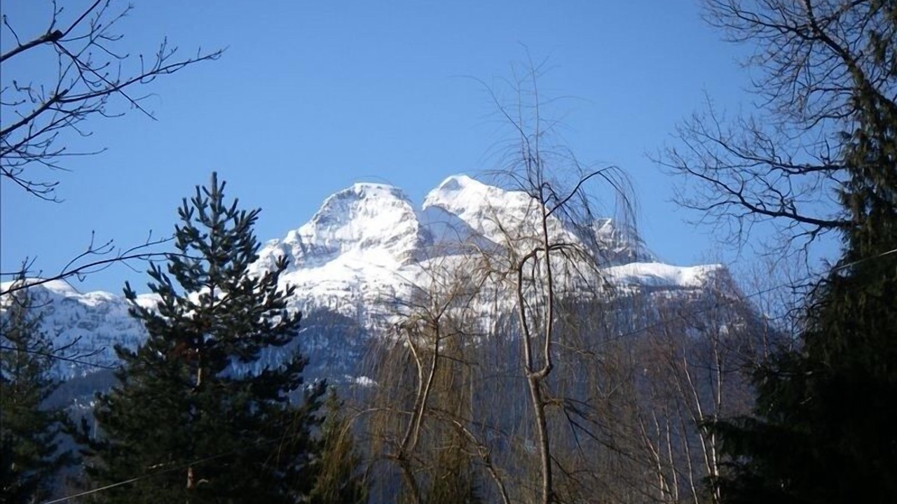 Photo of Others in Revelstoke