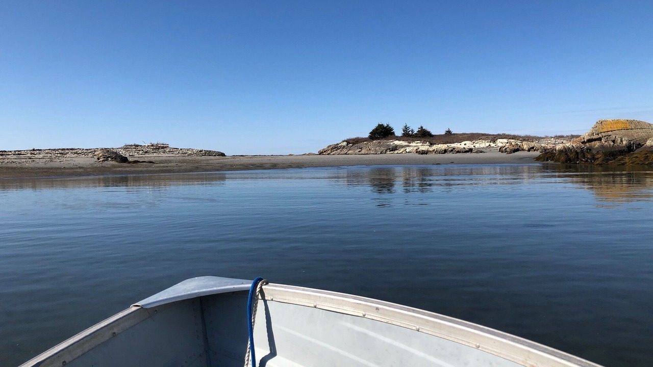 Photo of Others in LaHave