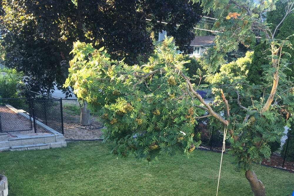 Photo of Others in Central Okanagan
