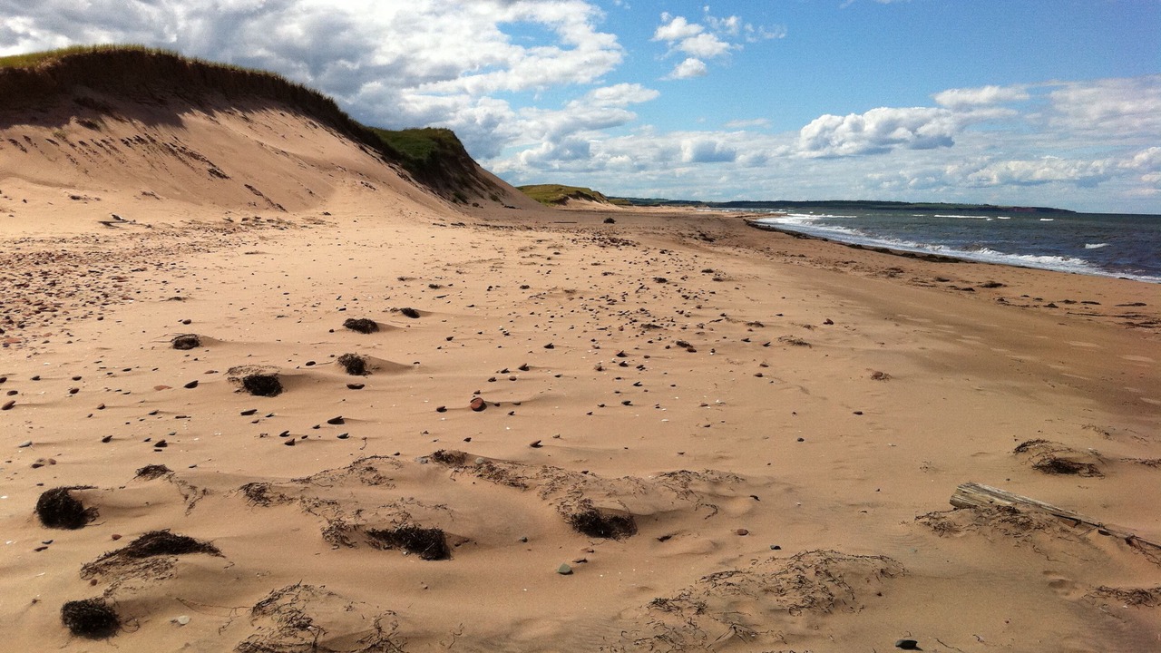 Photo of Others in North Rustico