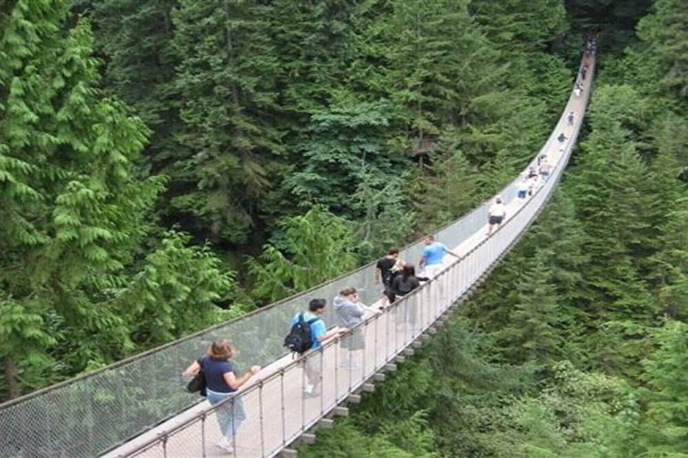 Photo of Others in Burnaby
