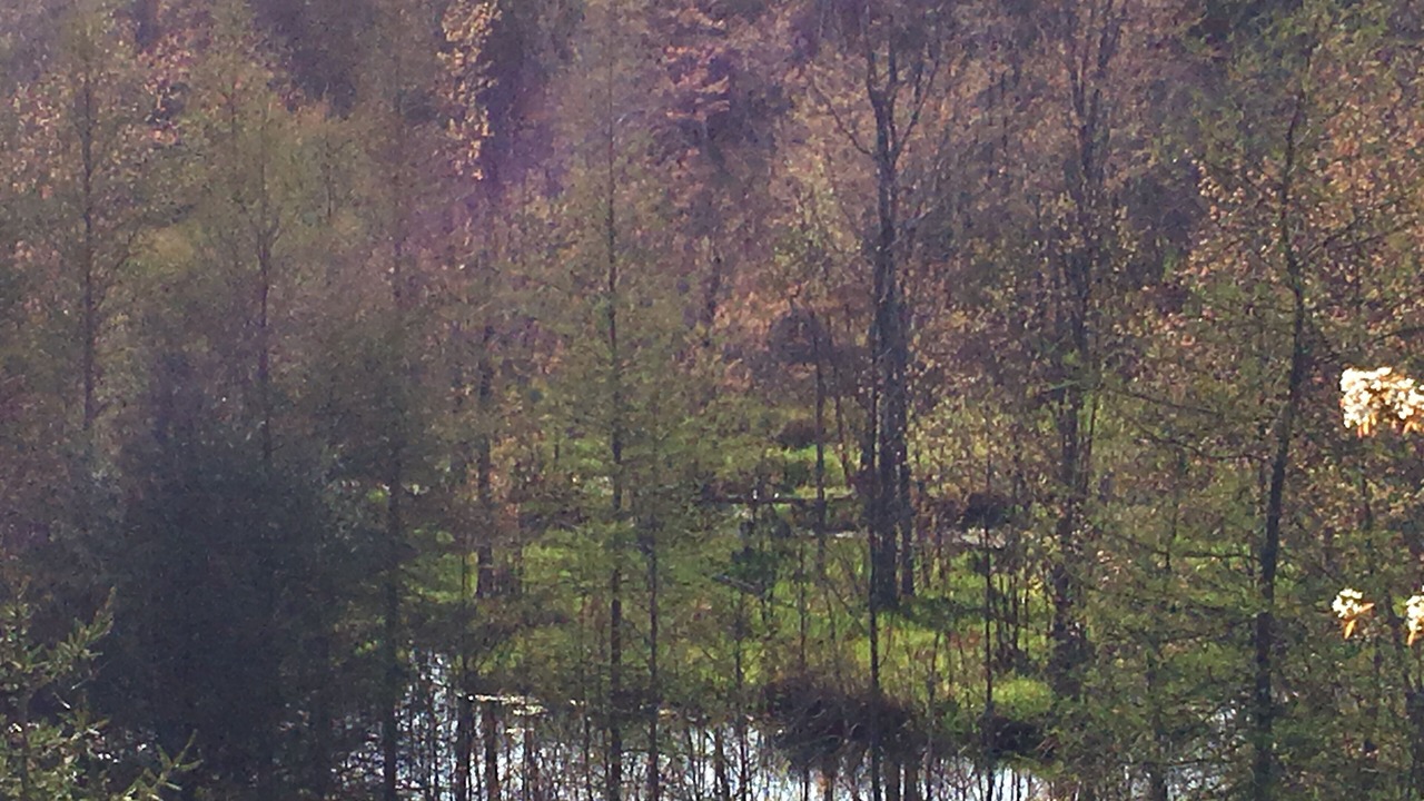 Photo of Outdoor in Kemble