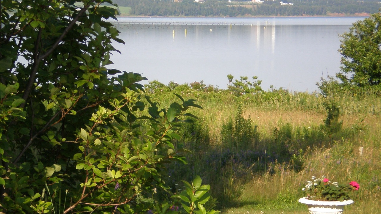 Photo of Outdoor in Naufrage