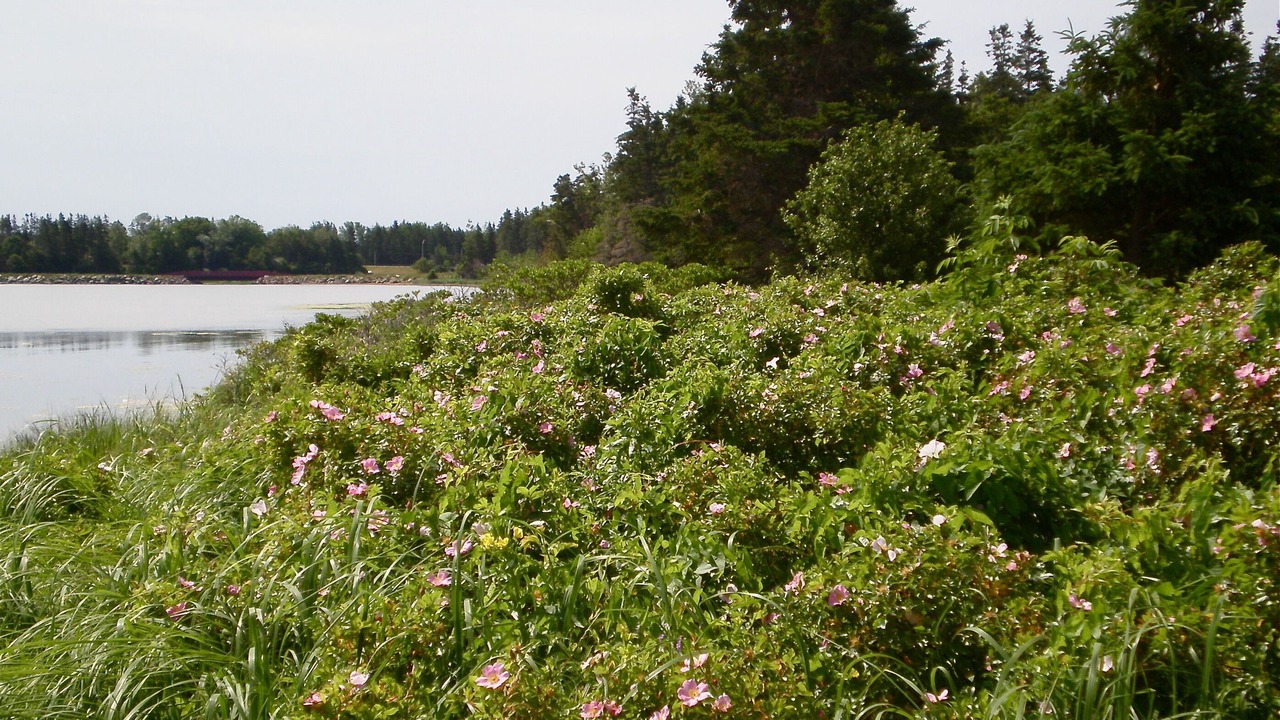Photo of Outdoor in Naufrage