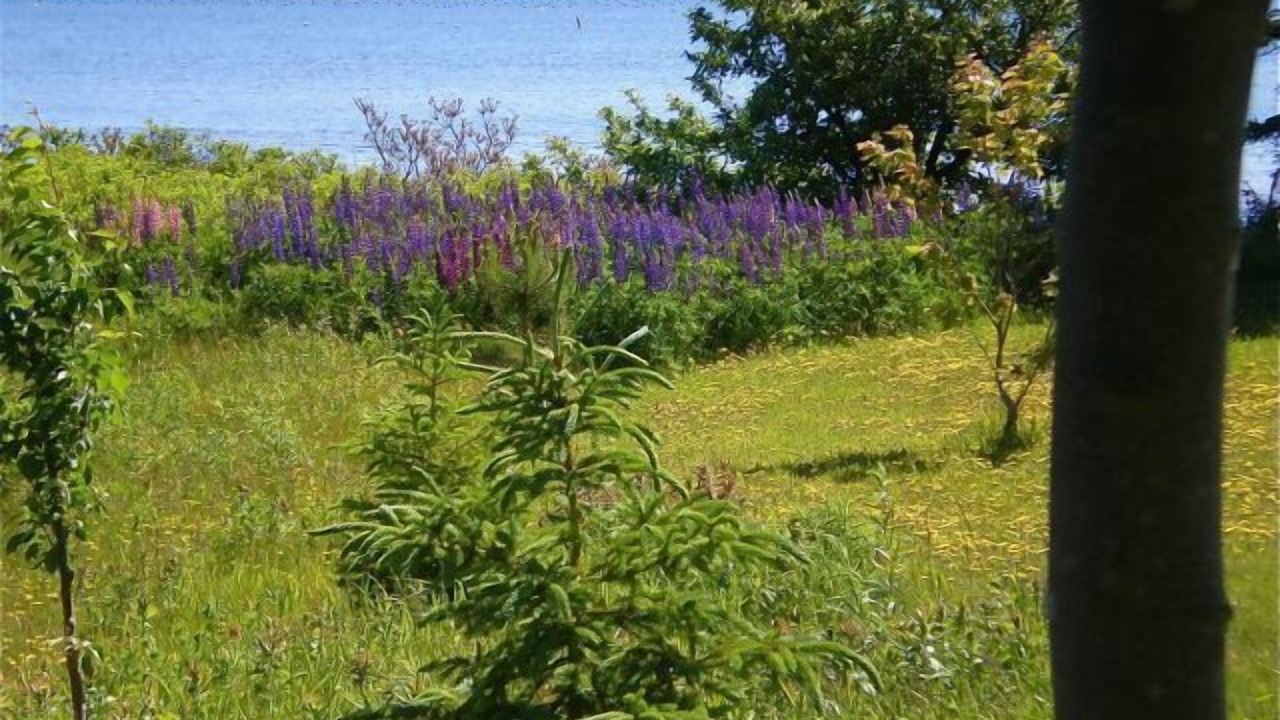 Photo of Outdoor in Naufrage
