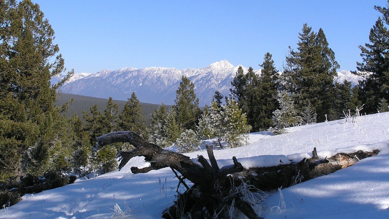 Photo of Others in East Kootenay