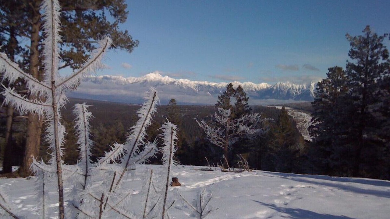 Photo of Others in East Kootenay