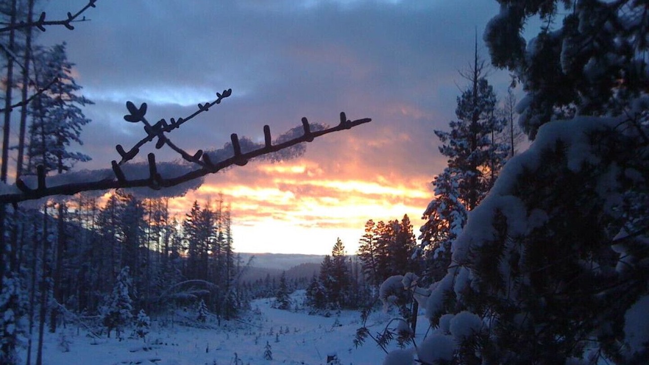 Photo of Others in East Kootenay