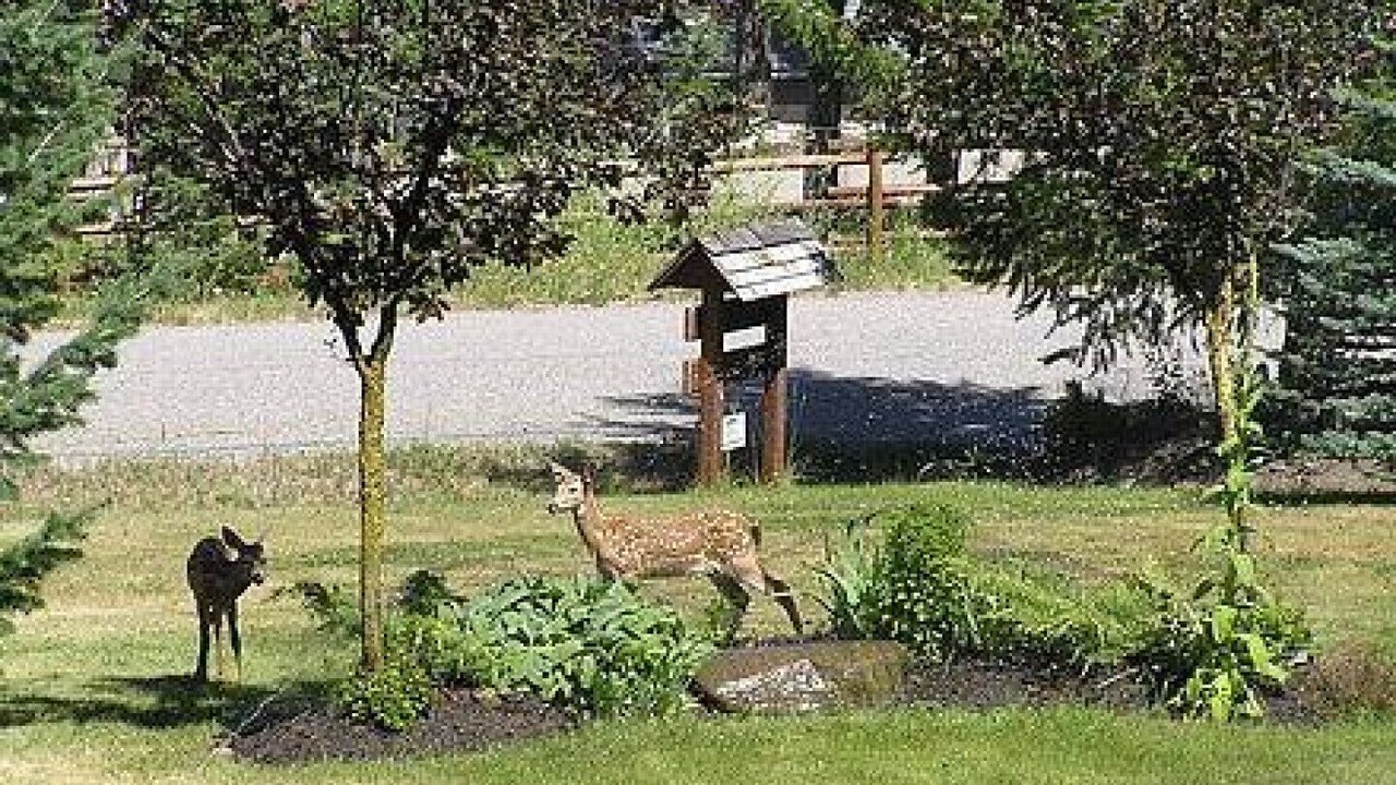 Photo of Outdoor in East Kootenay