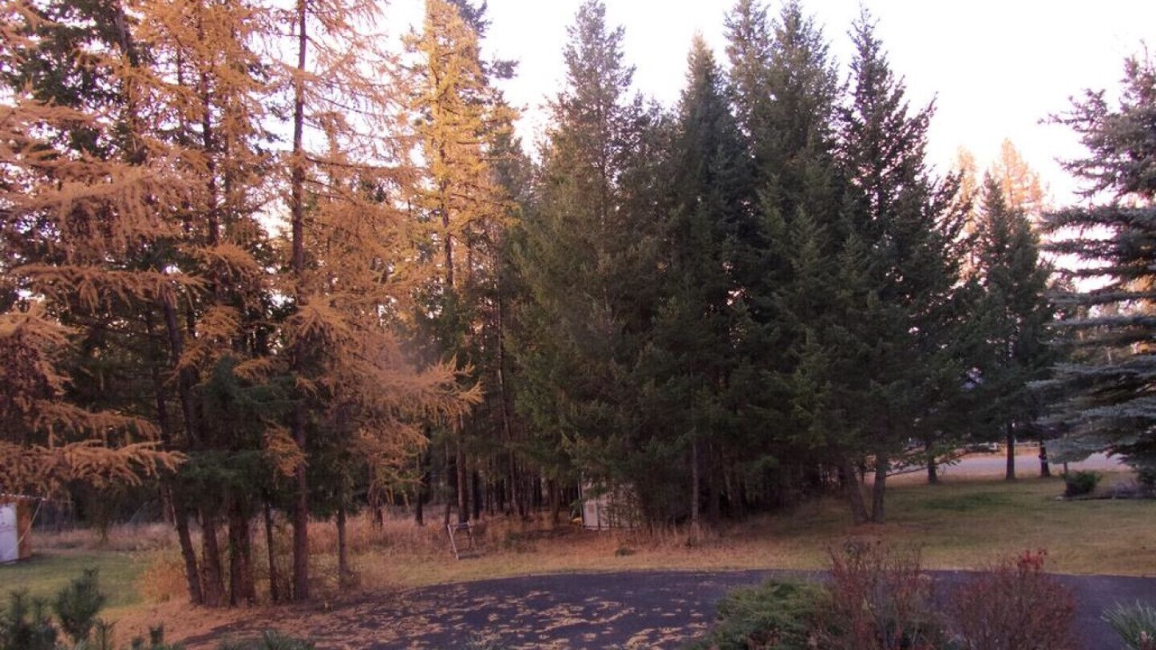 Photo of Outdoor in East Kootenay