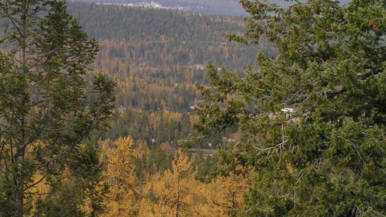 Photo of Outdoor in East Kootenay
