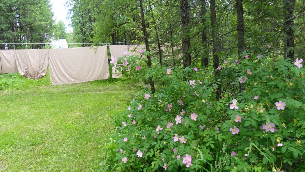 Photo of Outdoor in East Kootenay