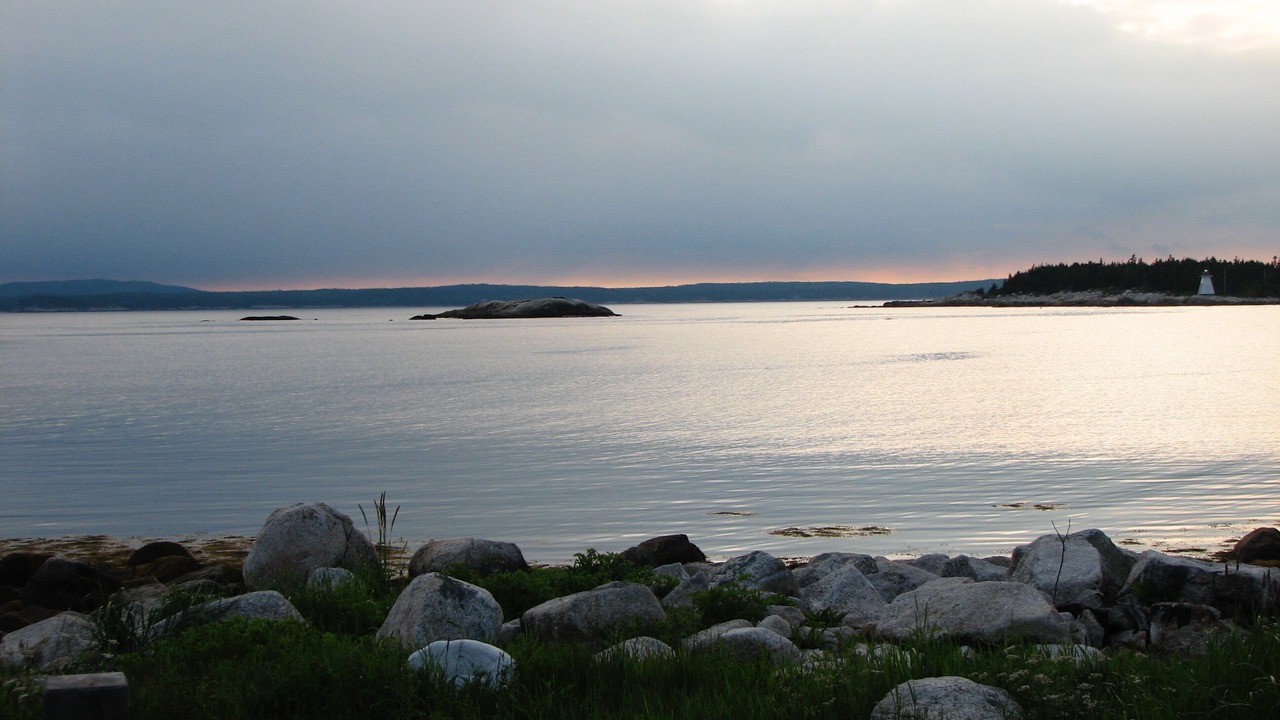 Photo of Others in Indian Harbour
