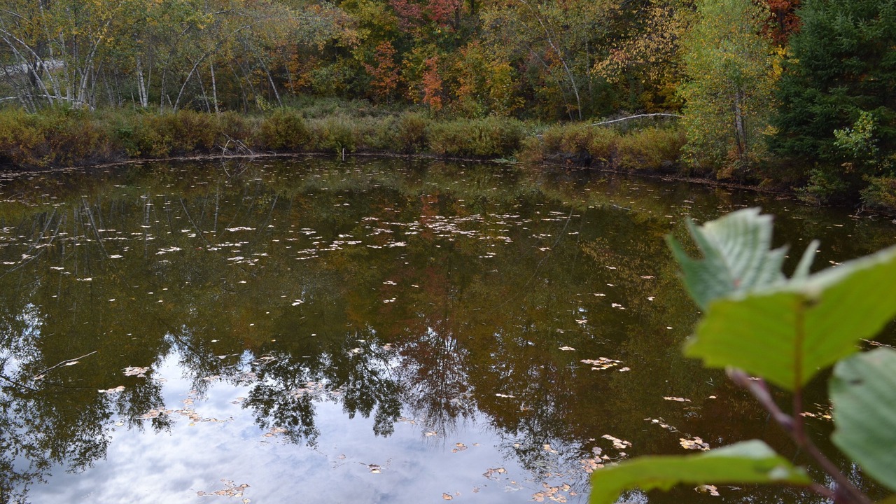 Photo of Outdoor in Saint-Etienne-De-Bolto
