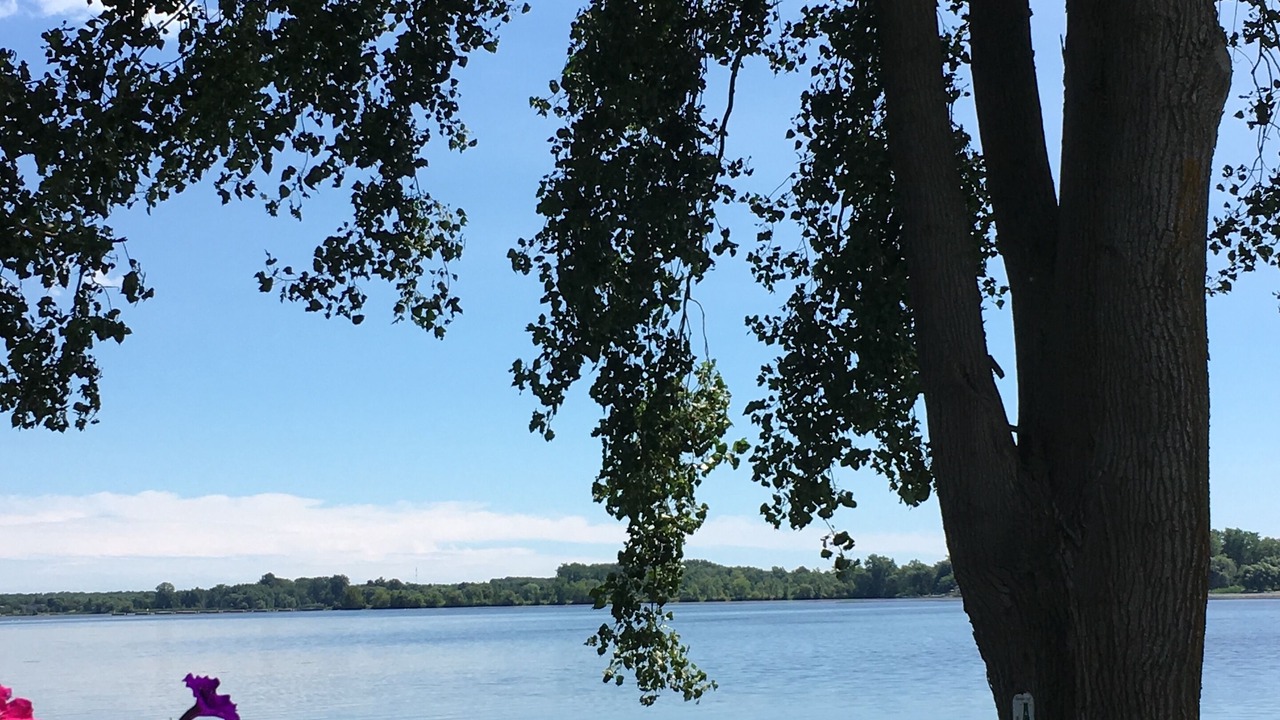 Photo of Outdoor in Trenton