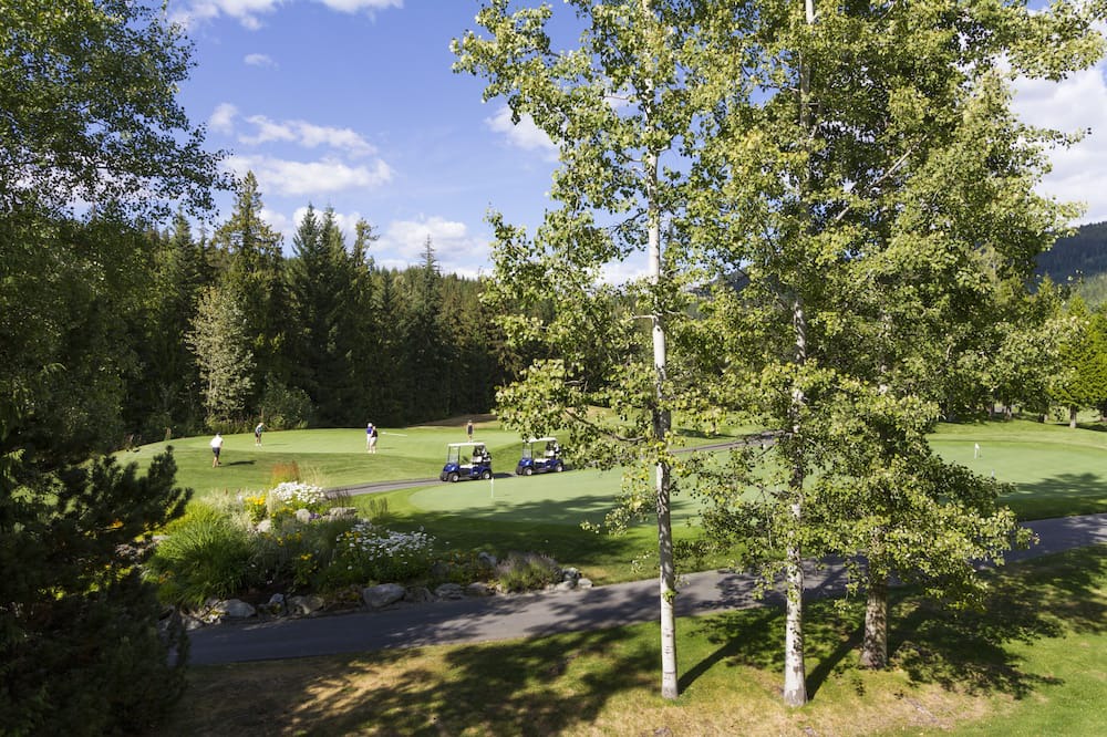 Photo of Others in Blackcomb