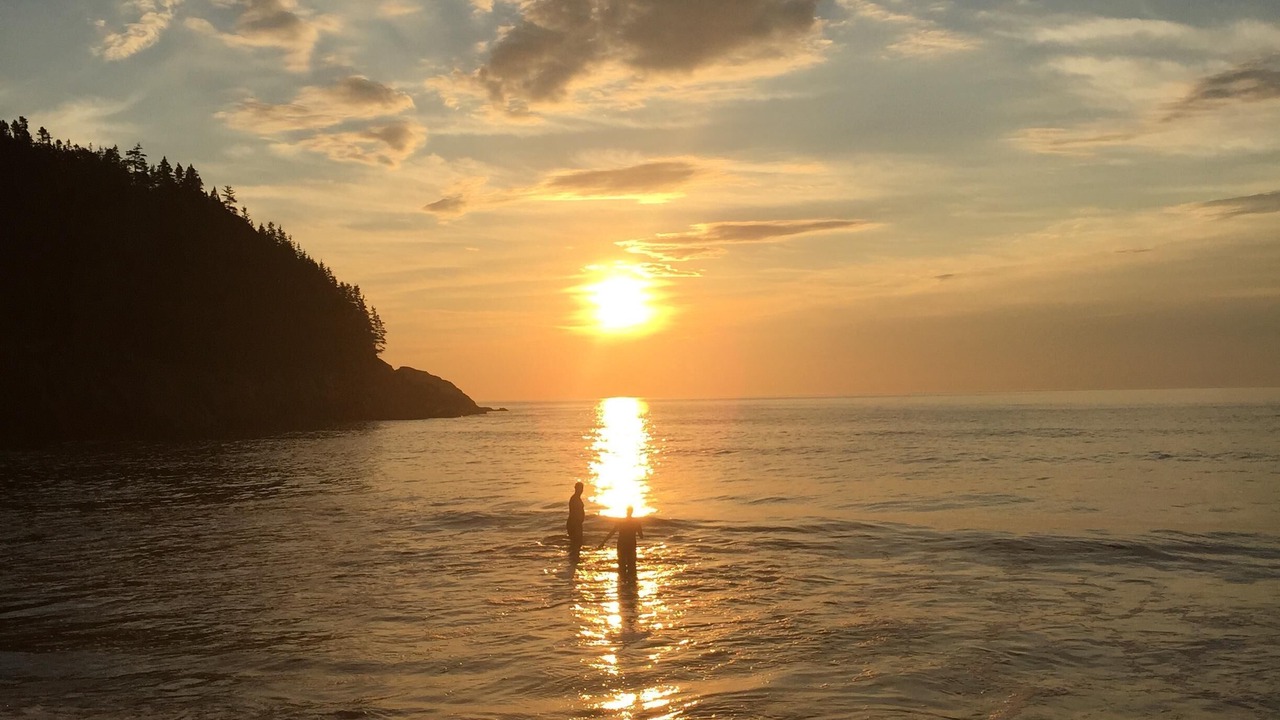 Photo of Others in South Harbour