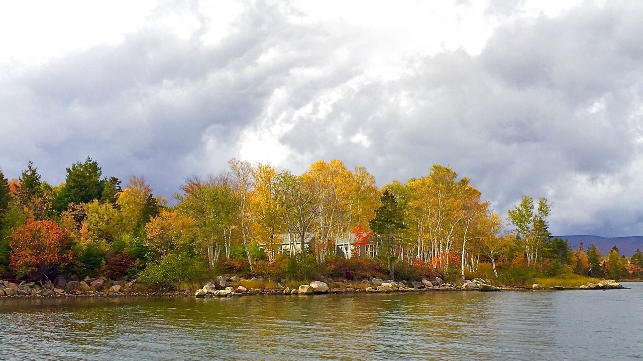 Photo of Others in South Harbour