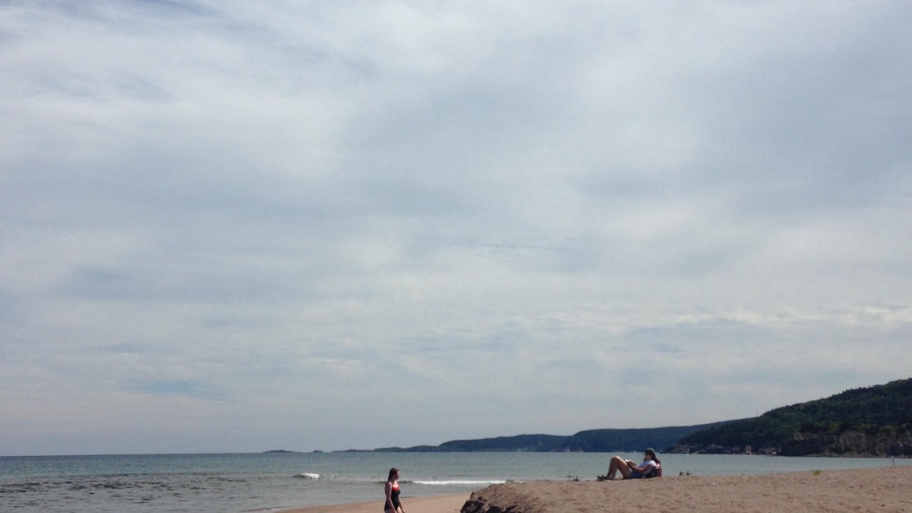 Photo of Others in South Harbour