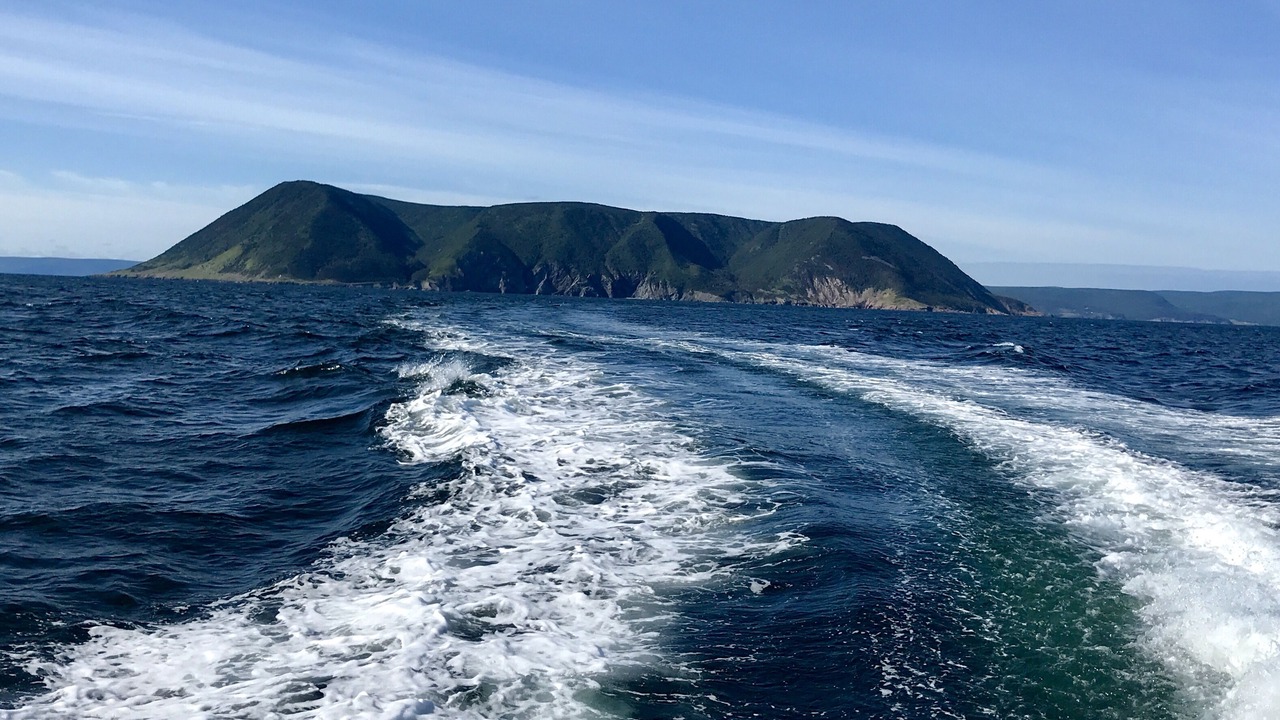Photo of Others in South Harbour