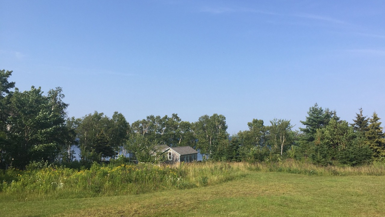 Photo of Outdoor in South Harbour