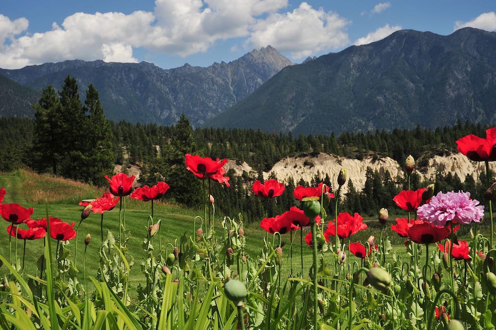 Photo of Others in East Kootenay