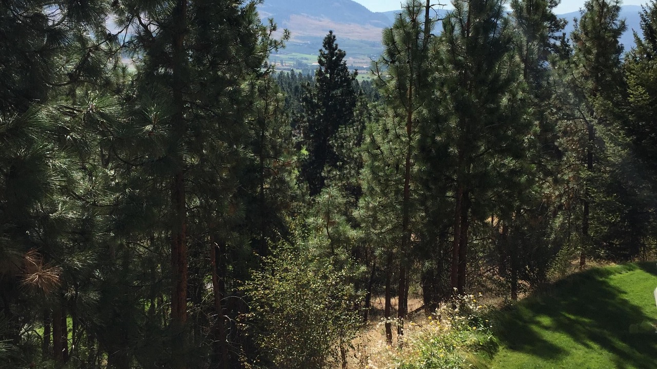 Photo of Outdoor in Quail Ridge