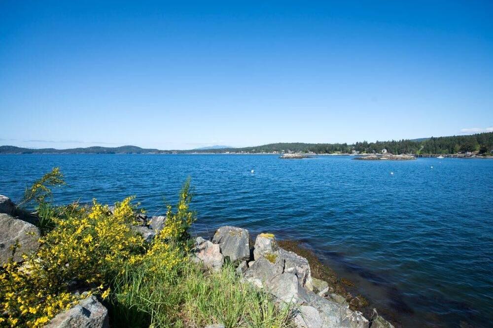 Photo of Others in Halfmoon Bay