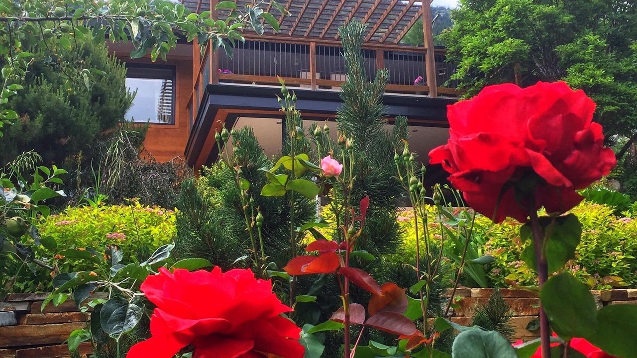 Photo of Outdoor in Nelson