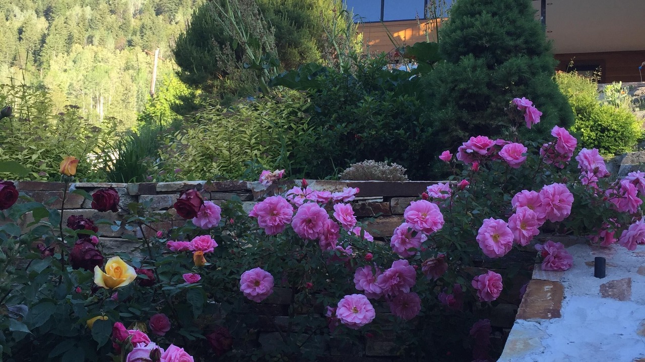 Photo of Outdoor in Nelson