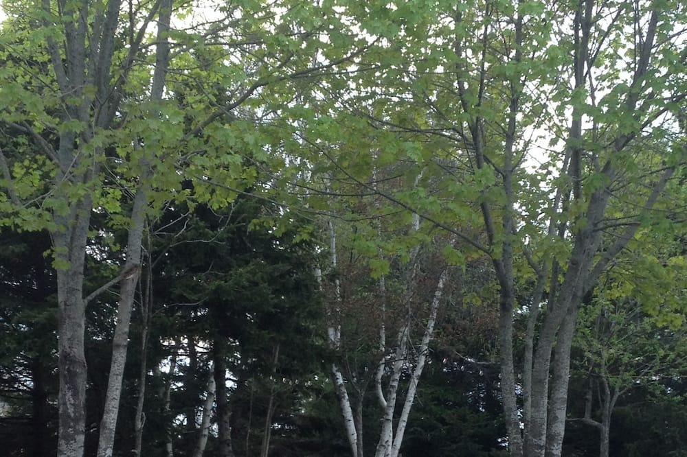 Photo of Others in Charlottetown