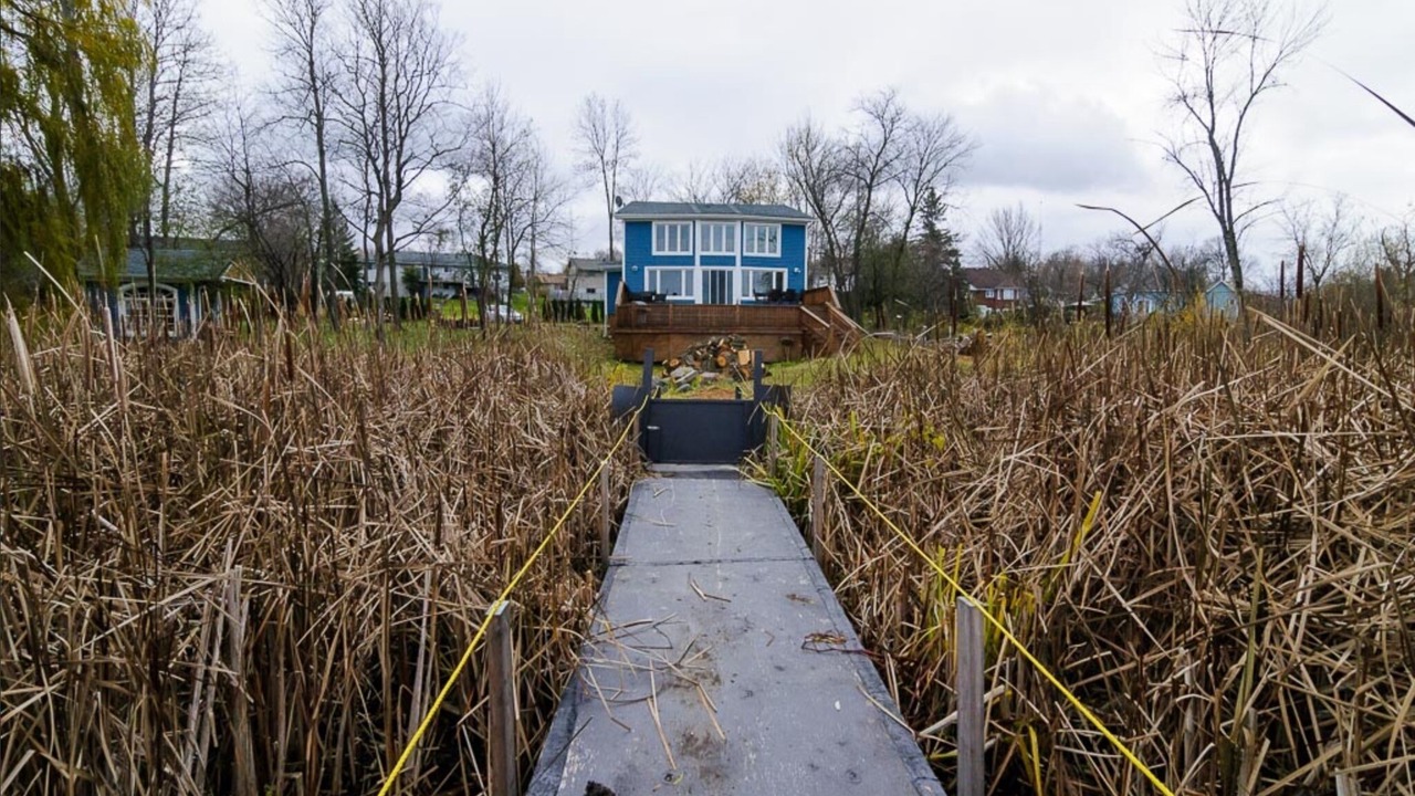 Photo of Outdoor in Scugog