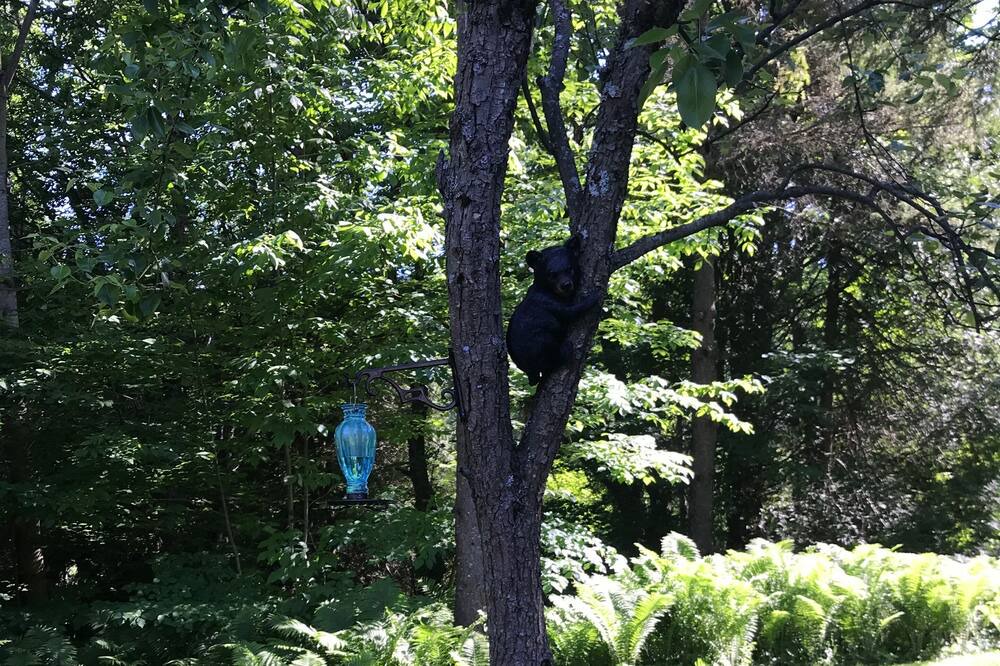 Photo of Outdoor in Sauble Beach