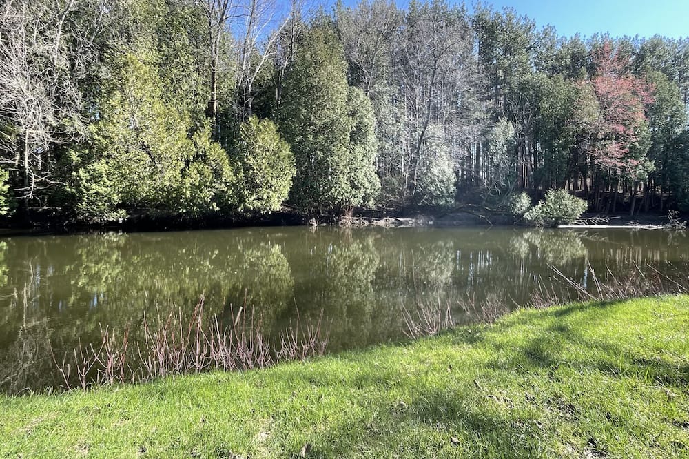 Photo of Outdoor in Sauble Beach