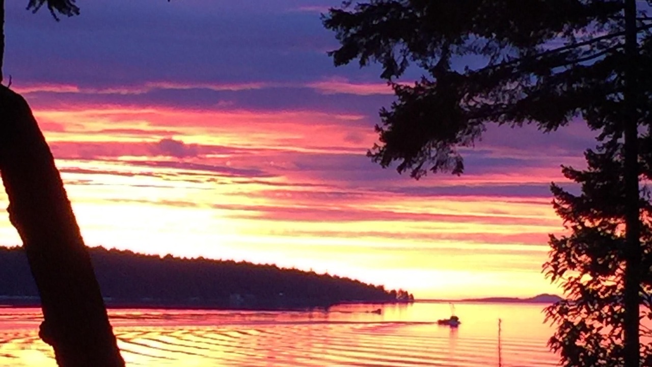 Photo of Others in Fanny Bay