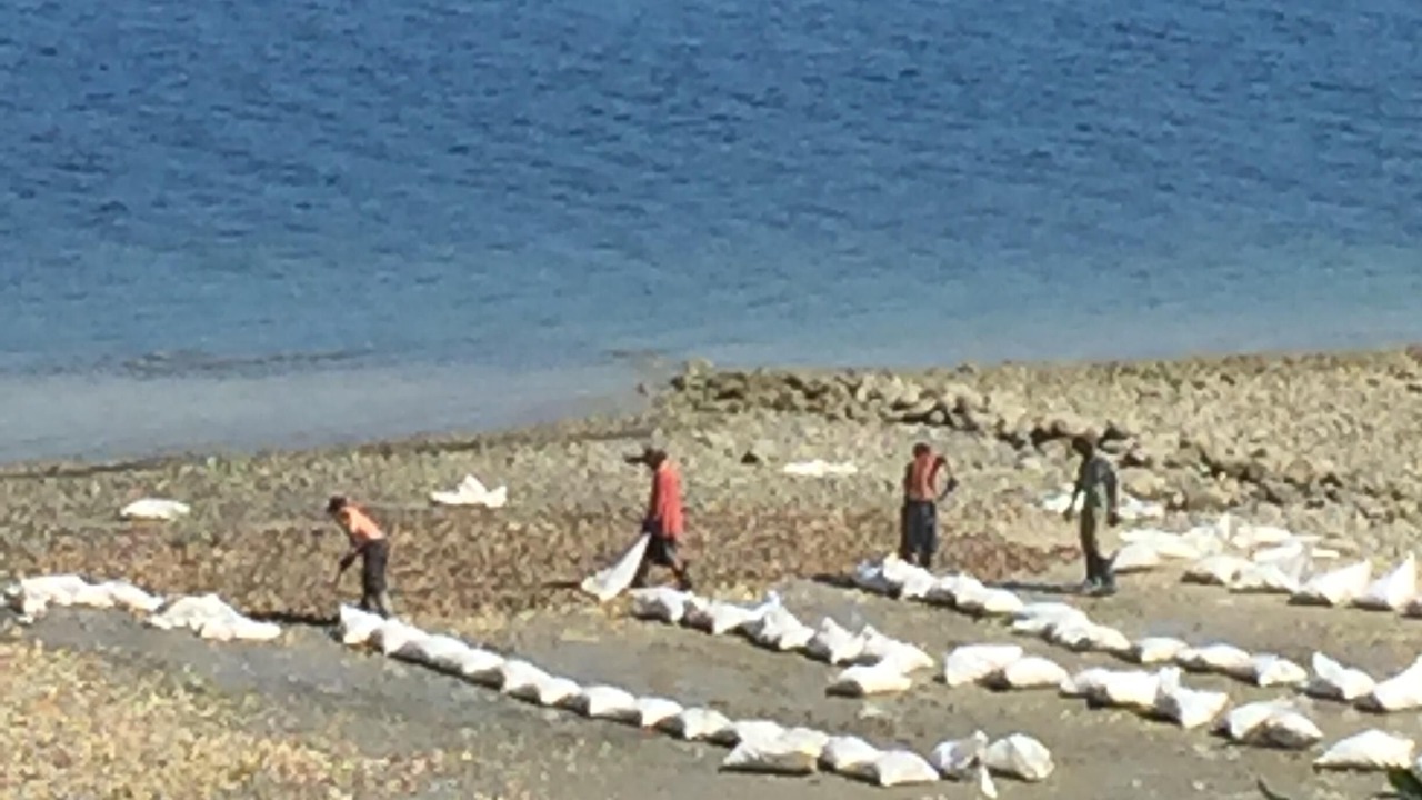 Photo of Others in Fanny Bay