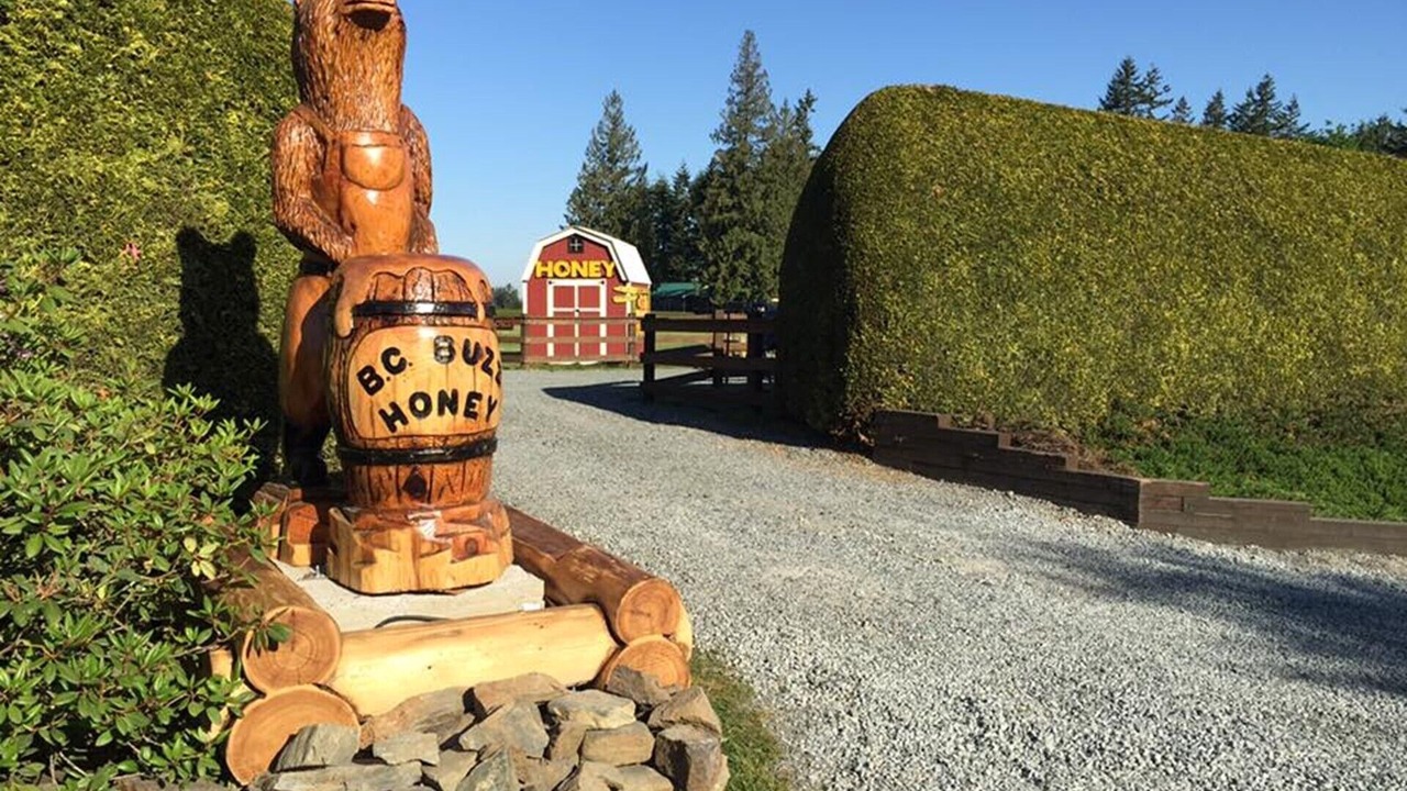 Photo of Others in Langley