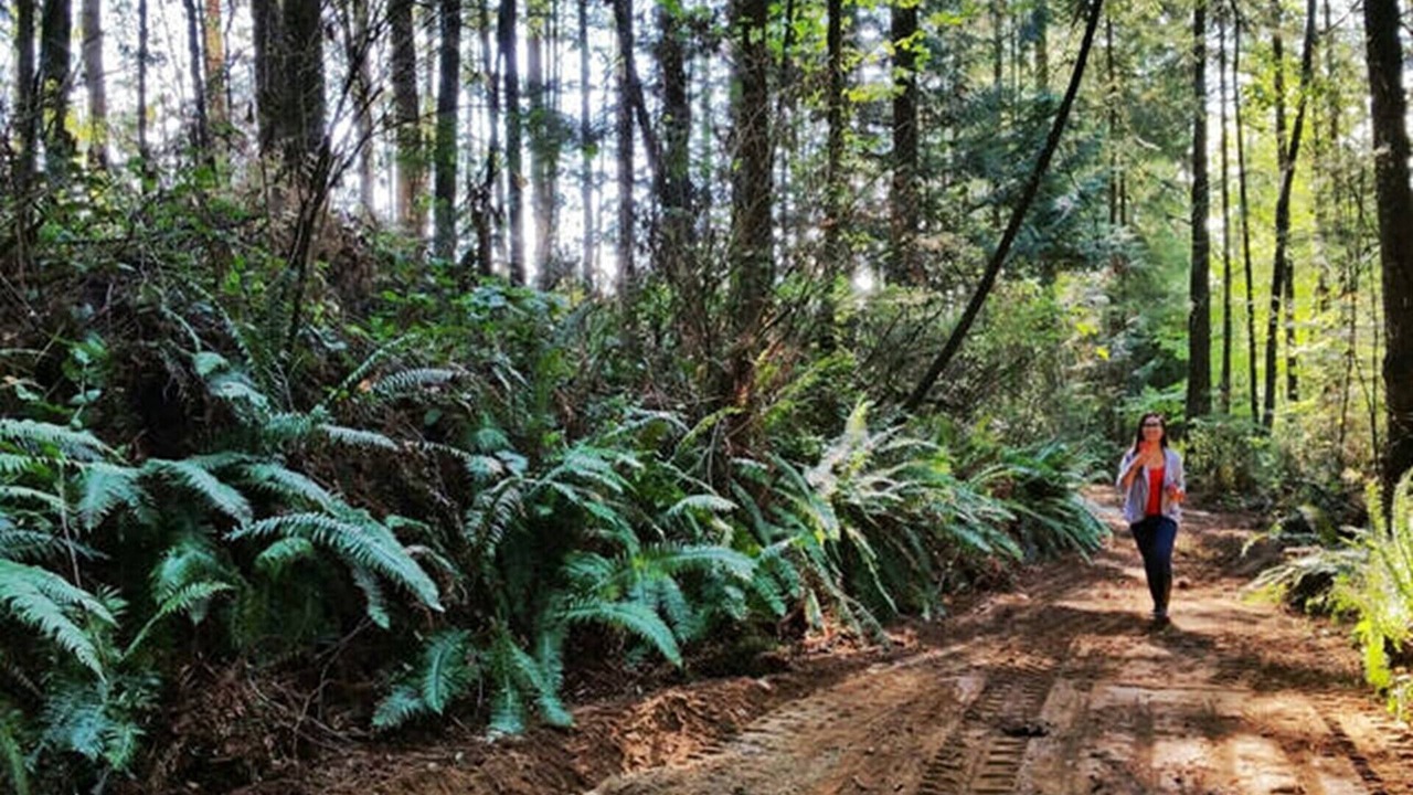 Photo of Outdoor in Langley