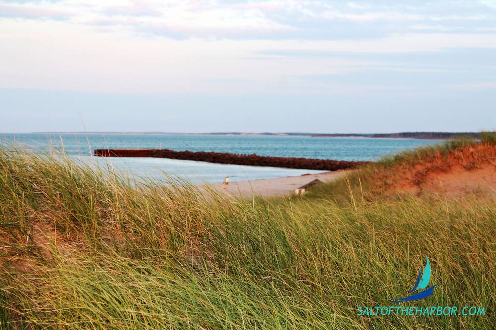 Photo of Others in North Rustico