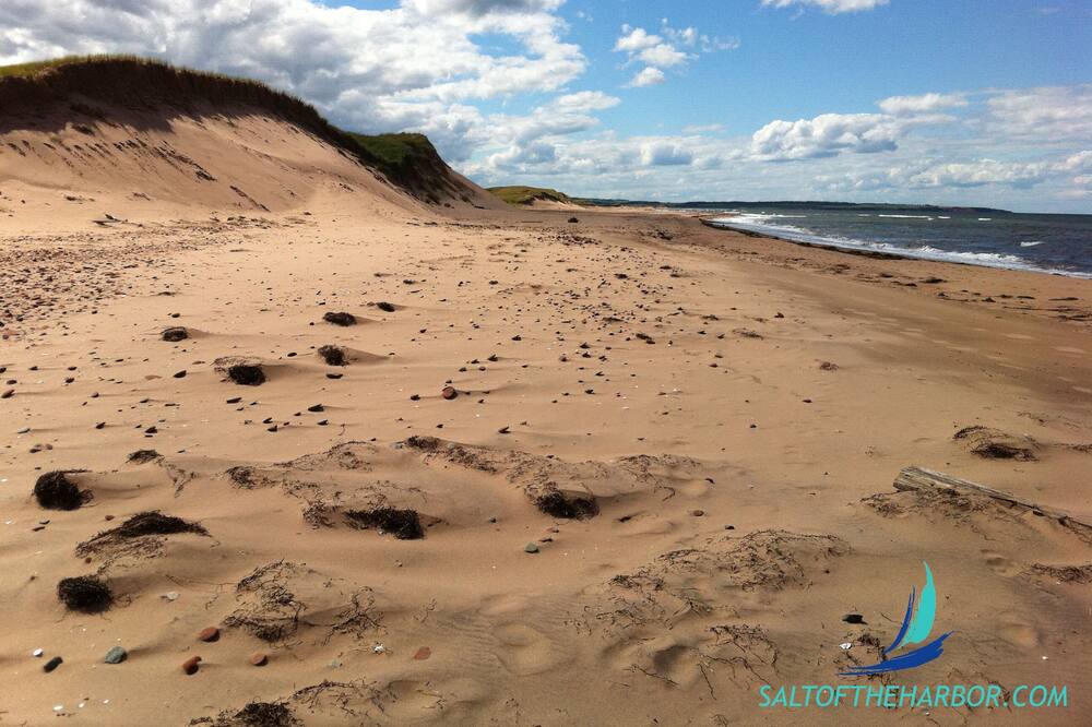 Photo of Others in North Rustico