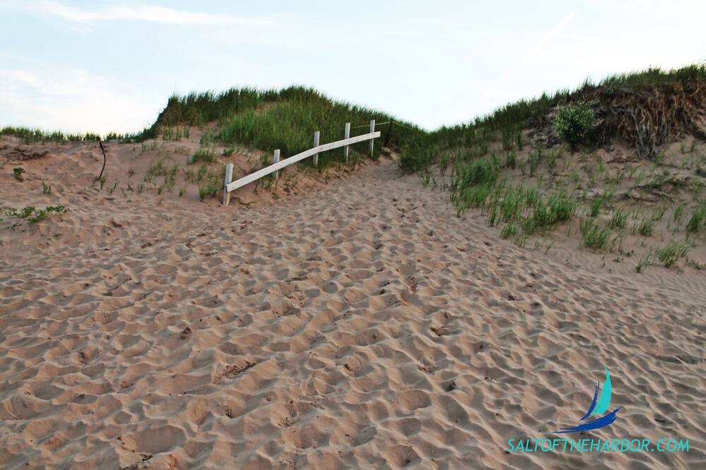 Photo of Others in North Rustico