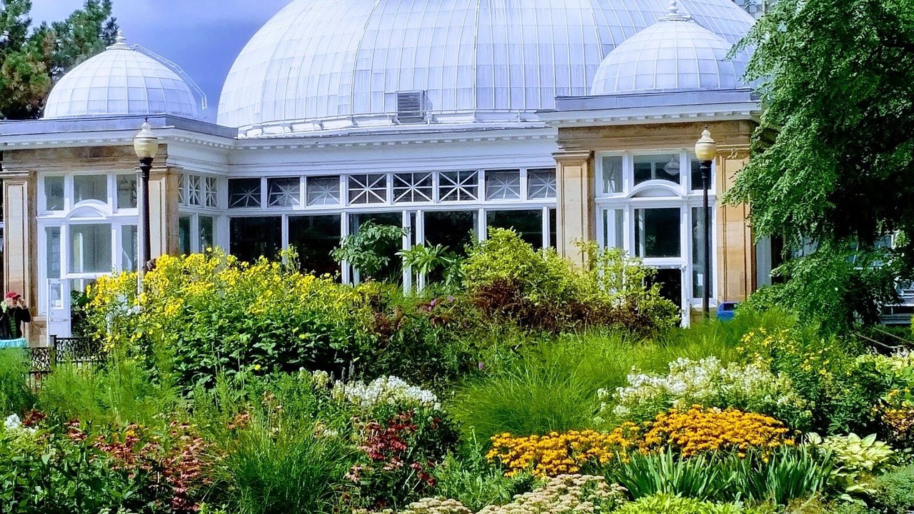 Photo of Outdoor in Cabbagetown