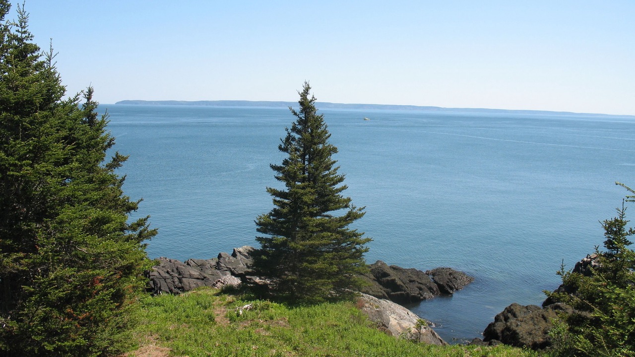 Photo of Others in Campobello Island