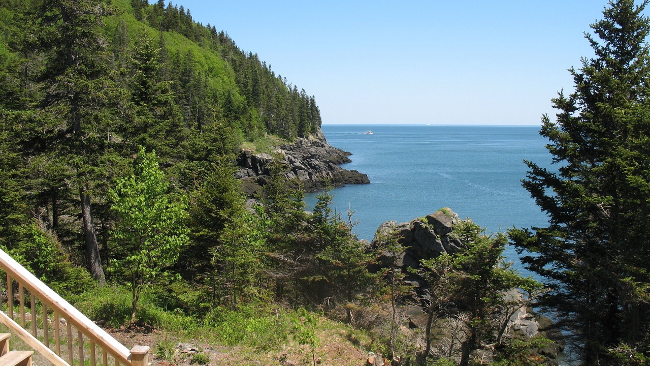 Photo of Others in Campobello Island